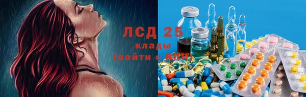 прущие грибы Алексеевка