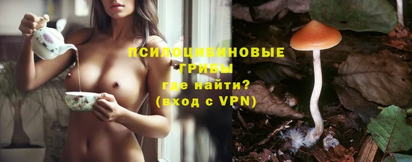 прущие грибы Алексеевка
