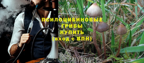 прущие грибы Алексеевка