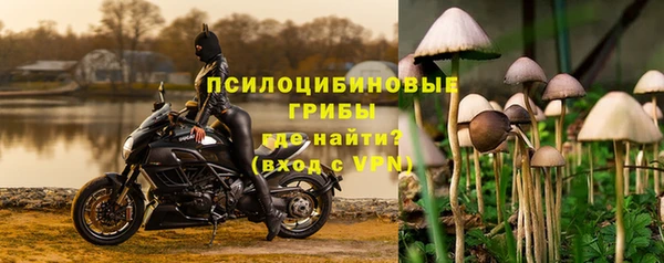 гидропоника Алзамай