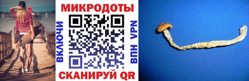 даркнет официальный сайт  Рошаль  Псилоцибиновые грибы мухоморы 